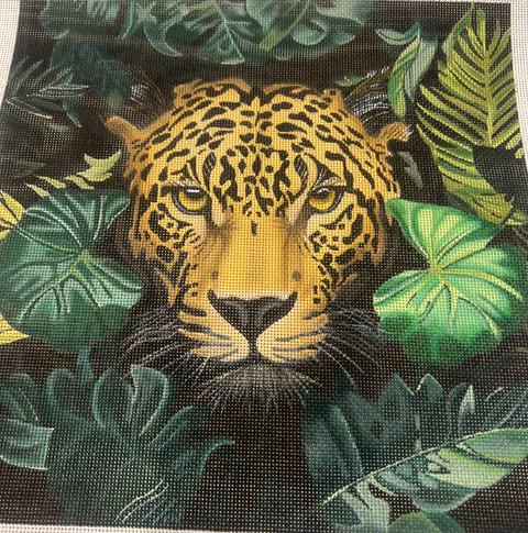 Jaguar (Heidi Kuntz)