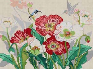 Poppies