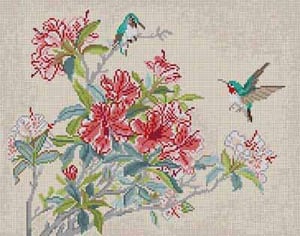 Hummingbirds & Flowers