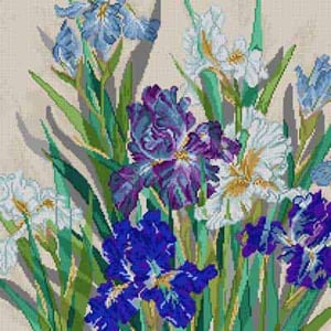 Iris Garden