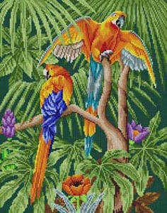 Parrots