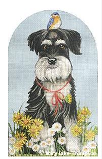 Daisy Schnauzer 