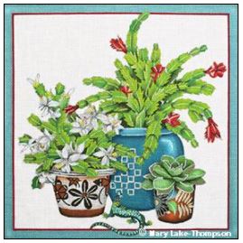 Christmas Cactus
