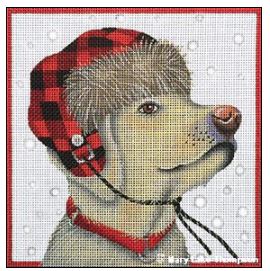 Lumberjack Yellow Lab