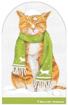 Orange Tabby Cat