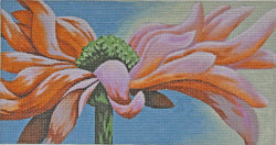 Gerber Daisy Peachy Morning