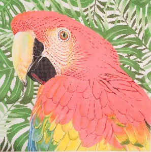 Parrot Scarlet Macaw