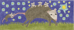 Nighttime Opossum
