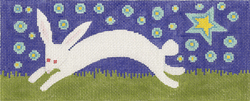 Nighttime Bunny