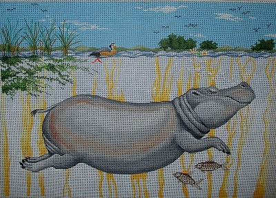 Hippo Swimming