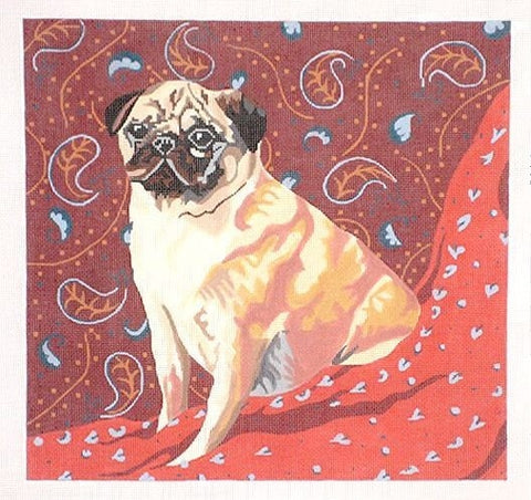 Pug on Paisley
