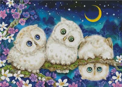 Midnight Adventure/Large (Artecy)