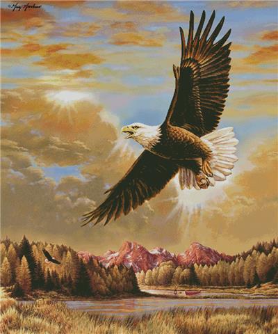 Inspirational Flying Eagle/Large (Artecy)