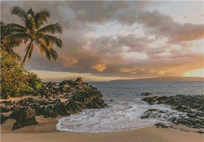 Kihei/Large (Artecy)