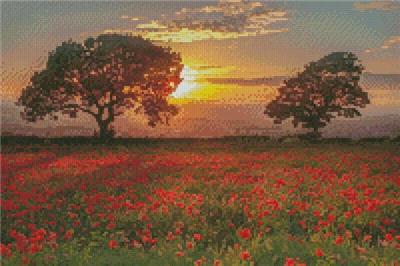 Poppies Sunset/Mini (Artecy)