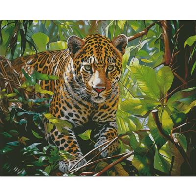 Silence in the Jungle (Charting Creations)