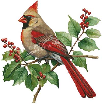 Female Cardinal and Holly (Artecy)