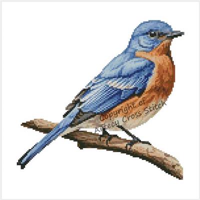 Eastern Bluebird (Artecy)