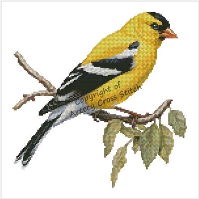American Goldfinch on a Branch (Artecy)