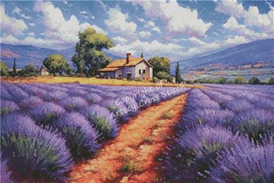Lavender Farm (Artecy)