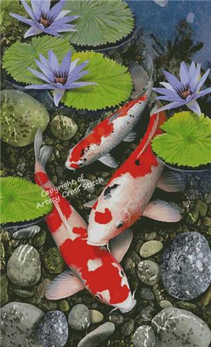 Koi Pond/Large (Artecy)