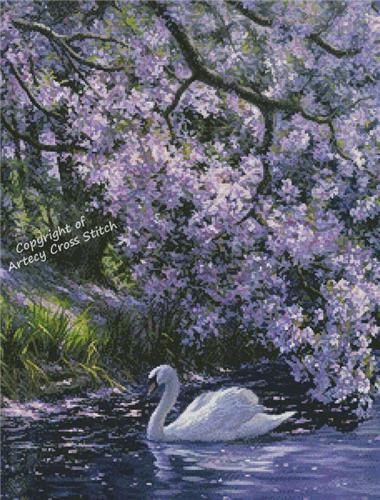 Mute Swan (Artecy)