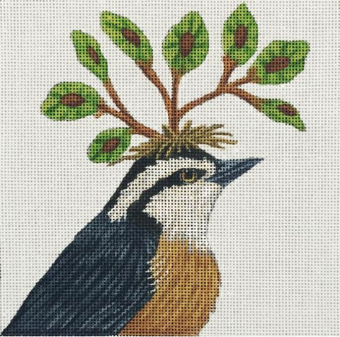 Pete - Red Breasted Nuthatch