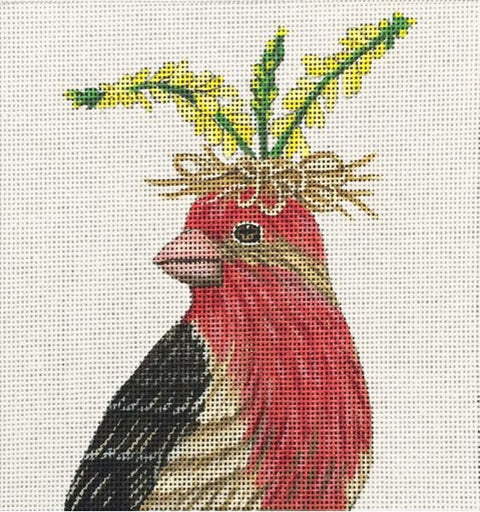 Rudy - The House Finch