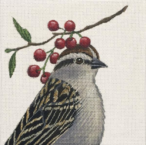 Leo - The Chirping Sparrow