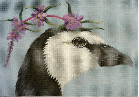 Sue - Barnacle Goose
