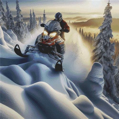 Winter Trails (White Willow Stitching)