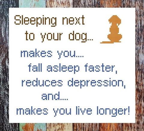 Sleep Next to Your Dog (Iris Originals)