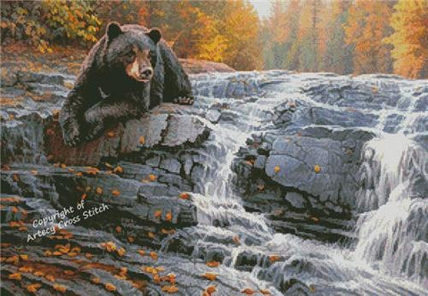Bearly Time (Artecy)