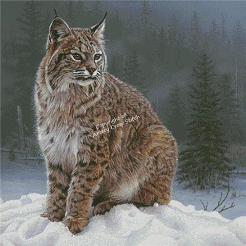 Silent Sojourn (Artecy)