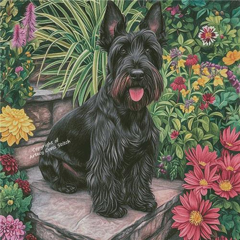 Scottish Terrier in a Garden/Large (Artecy)