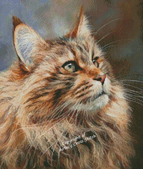 Maine Coon/Mini (Artecy)