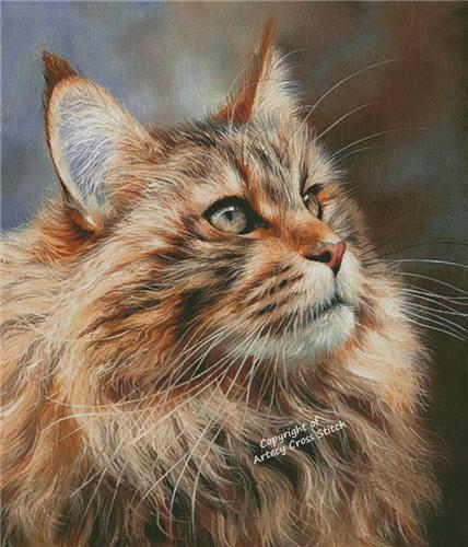 Maine Coon/Large (Artecy)