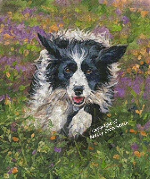 Border Collie Running/Mini (Artecy)
