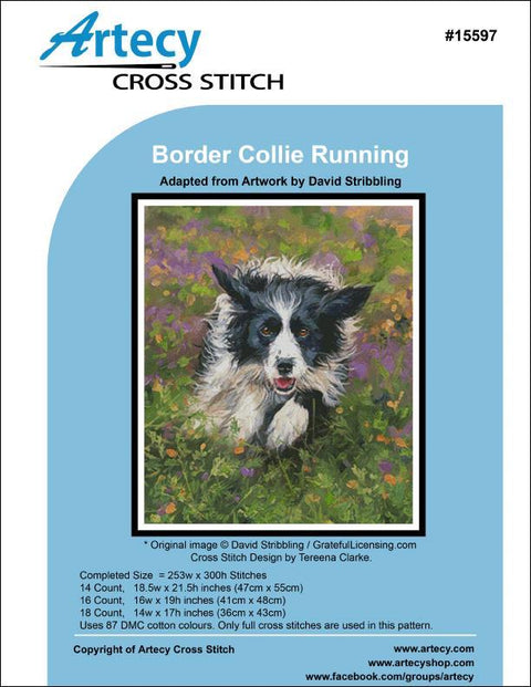 Border Collie Running (Artecy)