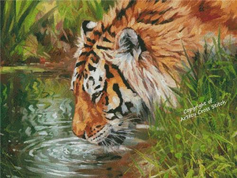 Tiger Quenching Thirst (Artecy)