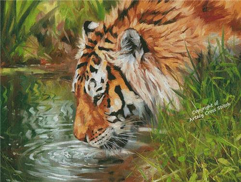 Tiger Quenching Thirst/Large (Artecy)