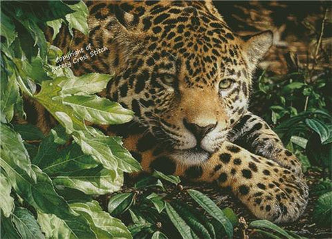 Jaguar at Rest/Large (Artecy)
