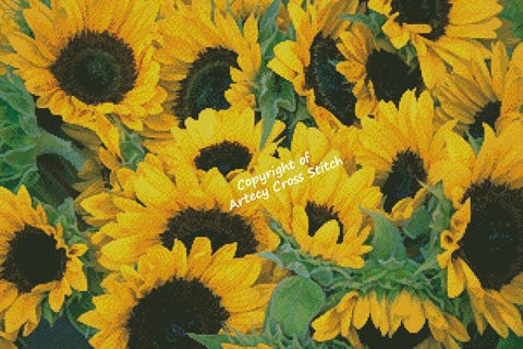 Sunflowers Photo (Artecy)