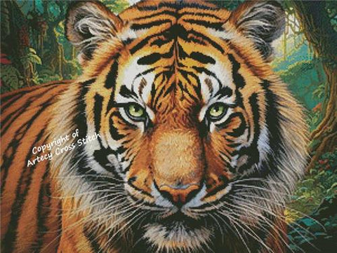 Tiger Close Up Portrait (Artecy)