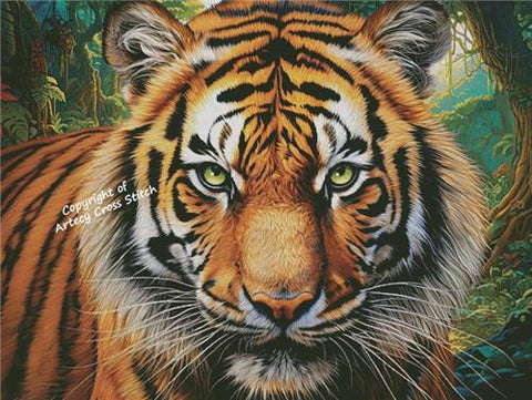 Tiger Close Up Portrait/Large (Artecy)