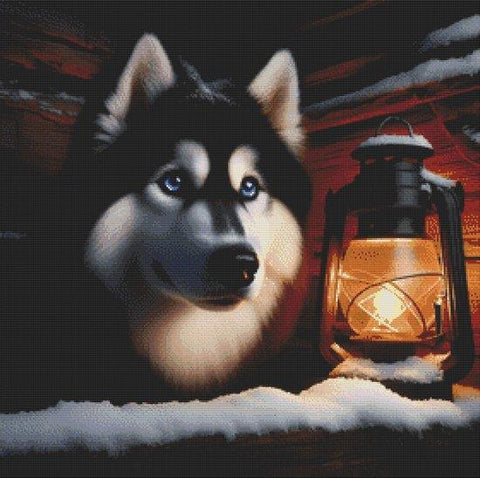 Husky by Night (White Willow Stitching)