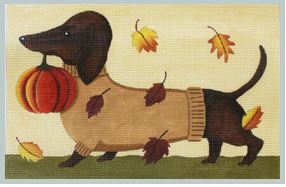 Dachshund - Fall