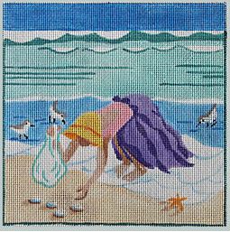 Collecting Shells