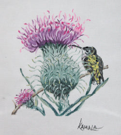 Thistle w/Hummingbird
