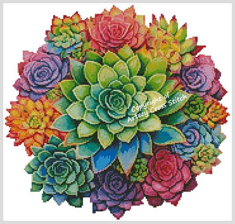Rainbow Succulent Circle (Artecy)